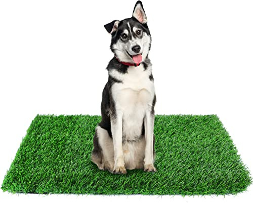 GLOBREEN 34 x 23 Fake Grass Pee Pad for Dogs Potty Training Turf Pets Mat - Indoor Outdoor Use
