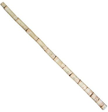 DEPICE Escrima Stick Deluxe Stock, Natur, 70