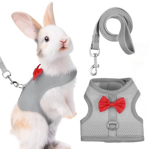 Harnais Lapin avec Laisse Réglable et Respirant - Accessoire Lapin Nain pour Petits Animaux, Confortable et Sécurisé pour Promenade Extérieur, Taille M, Gris
