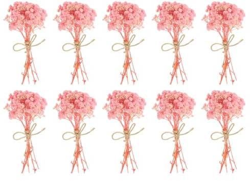 PATIKIL Mini bukett torkade blommor, 10 st naturlig Gypsophila med stjälk dekoration boho blomväxt för hantverk, gör-det-själv, fototillbehör, present, bröllopsdekoration, ljusrosa