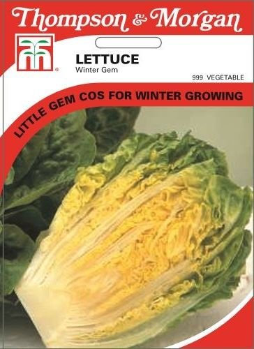 Thompson & Morgan - Vegetables - Lettuce Winter Gem - 150 Seed