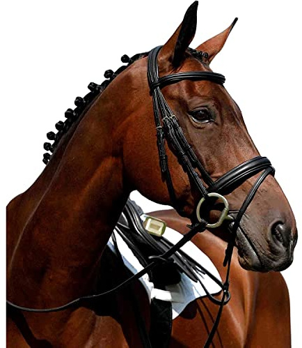 Collegiate Syntovia+ Padded Raised Flash Bridle, Brown, Pony