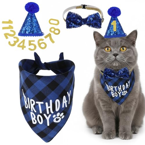 Xindojuz - Set di cappello di compleanno per gatti, regolabile, cappello di compleanno con numero, bandana, fiocco, sciarpa, cravatta, collare, per cani, animali domestici, gattini, abbigliamento per