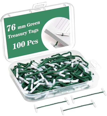 100 PCS 76x24mm Treasury Tags Plastic Ends with Small Plastic Box Green String Ties for Hole Punch Paper String Paper Fasteners String File Ties Page Binders String for Office Organising Document