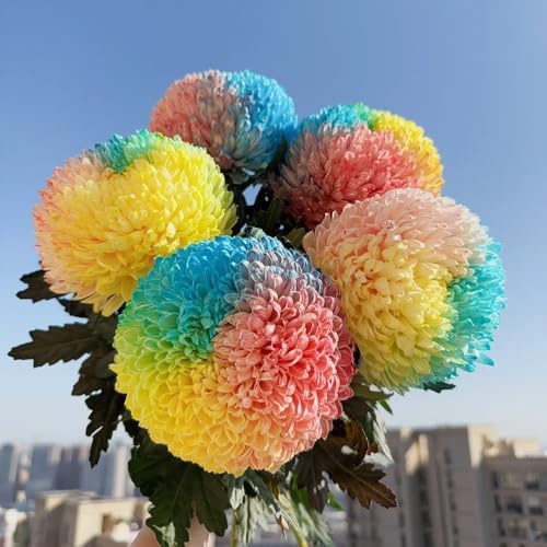 semi di crisantemo - vecchie varietà giardino roccioso resistenti biologici tappezzanti terreno 420pcs