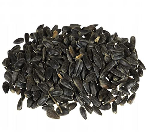 Nourriture pour oiseaux sauvages 4 saisons Mélange premium 20 kg