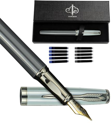 YUN CHUN Stylo Plume Set Écriture, Plume Moyenne Couleur Morandi avec 10 Recharges Noires et 10 Bleues, Stylo Bureau Professionnel Homme Femme, Gris