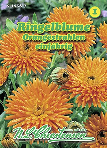N.L. Chrestensen 519587 Ringelblume Orangestrahlen (Ringelblumensamen)