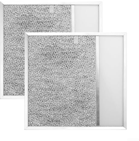 Filtro antigrasso per cappa da cucina, per cappe serie 43000, BUEZ3 e SL6200R, per cappe da parete per camino, cappa a isola, ecc. (2 pezzi)