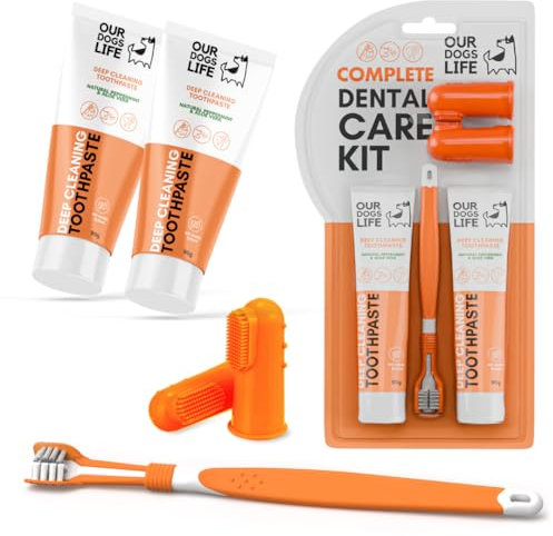 Hundezahnbürste mit Zahnpasta | Geprüfte Zahnreinigung für Hunde | Dreiköpfige Zahnbürste für Tiefenreinigung + 100% natürliche Zahncreme | Gegen Zahnstein, Zahnbelag, für frischen Atem