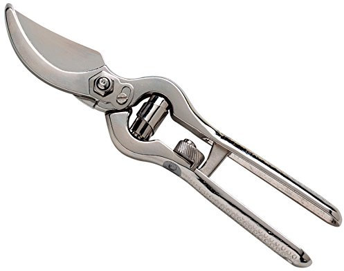 Ausonia 31166 Ciseaux Vigne Forgée Gris 23 cm