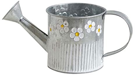 CTCOIJRN Vintage metallvattenkanna, 1 st växthink, bordsvaser, behållare, vattenkanna med handtag, trädgårdsdekoration
