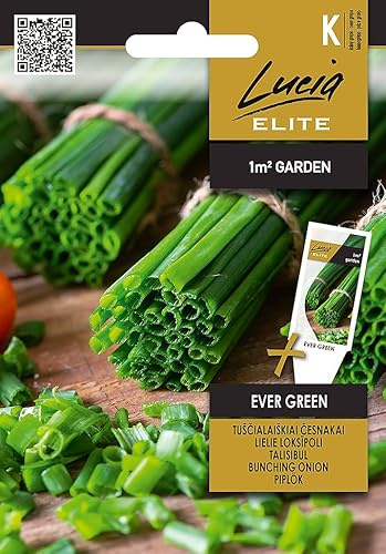 Lucia Elite | Cebolla - EVER GREEN Semillas de huerto | Cebolla perenne | Precoz y rústica | Hojas verde oscuro sin bulbo | Cosecha primavera-otoño | 1 sobre
