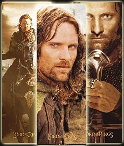 Close Up Herr der Ringe Poster Aragorn (32cm x 95cm)