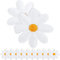 20 Stück Gänseblümchen Blume Patch Kleidung Iron-On Patches Blumen Applikationen Patches Dekorativ Bestickt für DIY Dekoration T-Shirt Rucksack Hoodies Schuhe Tasche, 1,38 Zoll