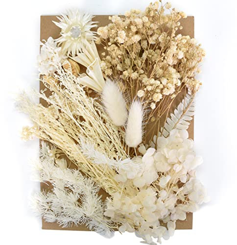 Trockenblumen zum Basteln Natürliche Getrocknete Blumen Set Weiß Stil DIY Gemischte Trocken Blüten für Epoxidharz Zuhause Valentinstag Hochzeit Muttertag Ostern Party Dekoration
