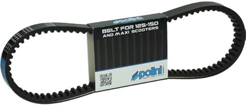 POLINI Keilriemen Speed Belt 125-150cc 4 Takt
