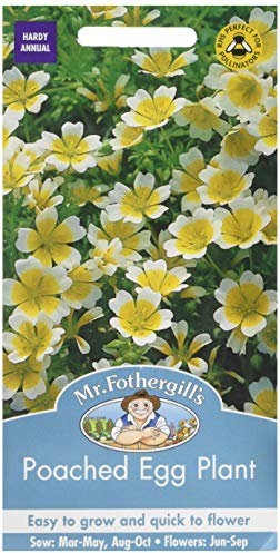 Mr Fothergill's 17485 Flower Seeds, Poached Egg Plant, White & Yellow