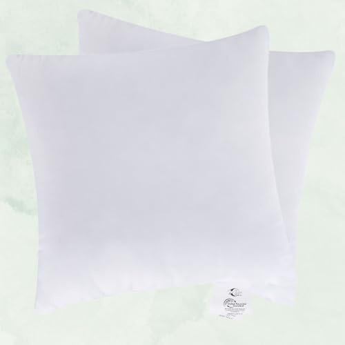 Moon Confezione da 2 Lussuoso cuscino imbottito in piuma d'oca Cuscino interno ca. 50x50-600g, 90% piuma 10% piumino con dream pass (solido)