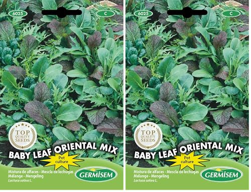 Germisem Baby Leaf Oriental Mix Semillas de Lechuga 2 g, EC6025 (Paquete de 2)