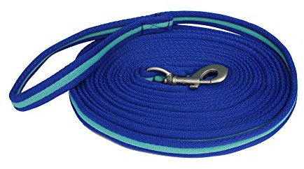 Rhinegold Carnival Bright Lunge Rein-Royal/Turq