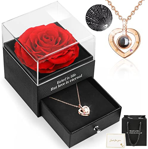 HEGUD Ewige echte Rose, I Love You Herz Halskette mit 100 Sprachen, Konservierte Rose, Rose Schmuck Geschenkbox, Geschenke für Frauen, Valentinstag für Sie, Jahrestag, Geburtstag, Muttertag für Mama