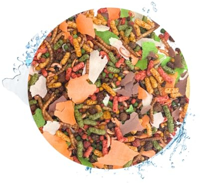 Warnick's Tierfutterservice Fischfreude 360 Grad - 5 Liter Eimer - Rundum-Mix für Teichfische mit Koipellets, Teichsticks, Quellflocken & mehr