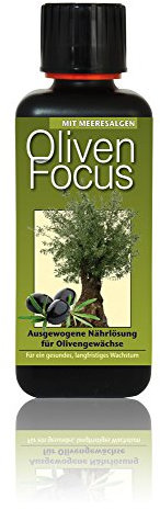Fertiliser Olive Focus 300ml Liquid Fertilizer Concentrate Olive Olive