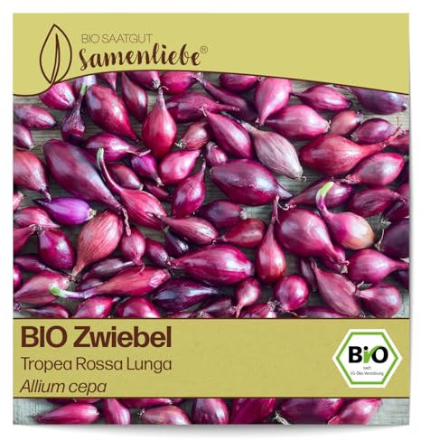 Samenliebe BIO Zwiebel Samen alte Sorte Tropea Rossa Lunga milde süße Gemüsezwiebel längliche italienische Schalotte rot 300 Samen samenfestes Gemüse Saatgut für Gewächshaus und Freiland