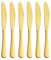 GoGeiLi Tafelmesser, mattes Gold, Edelstahl, satiniert, 23,9 cm, Tafelmesser-Set für 6 Personen, spülmaschinenfest