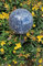 Jürgen Bocker Garten-Ambiente Blütenzauber Paris Rosenkugel 15 cm Edelstahl Gartenstecker Deko mit Stab 80 cm (blau)