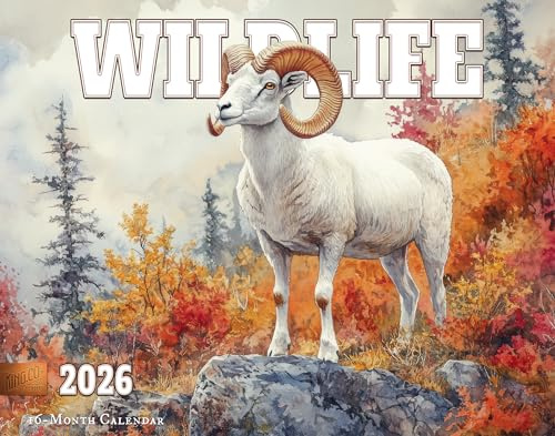 2026 Wildlife Illustrated Wall Calendar 16-Month X-Large Size 14x22, Retro Wildlife Calendar by The KING Company-Monster Calendars