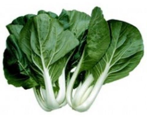 250+ Pak Choi bianco Stem Seeds