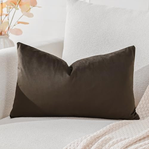 Artscope Samt Kissenbezug Kissenhülle Dekorative Dekokissen Sofakissen Lendenkissen Wurfkissenbezug Sofa Schlafzimmer 30x50cm Schokoladenbraun