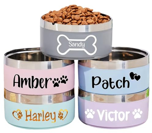 Gamelle À Eau Et Nourriture pour Chien Personnalisée, Gamelles en Acier Inoxydable, Gamelles Personnalisées avec Le Nom du Chien, Faciles À Nettoyer, Résistantes Aux Chutes Et Au Glissement