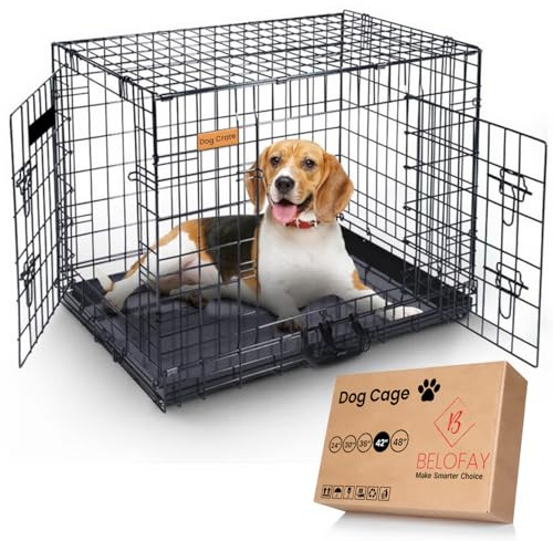 BELOFAY Dog Crate | Dog Cage 42-Inch Heavy Duty | Collapsible Metal Frame with Dual Access Doors, Chew-Resistant Removable Base Tray, Sliding Lock & Carry Handle – Ideal for Puppy Training & Travel