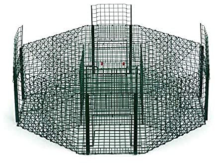 Jaula captura urracas octogonal pin