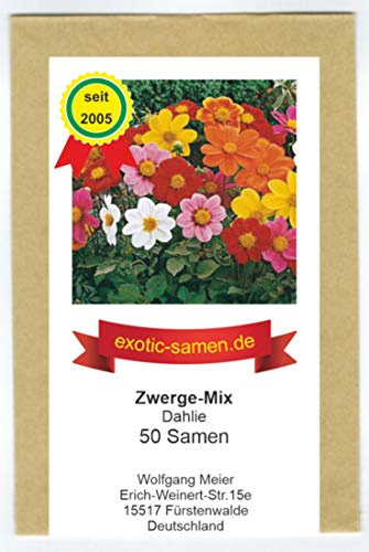 Dahlia - Dahlien - Niedlicher Zwergen-Mix - 50 Samen