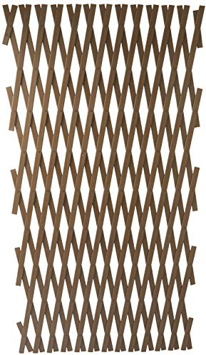 Verdemax 7561 - Traliccio Estensibile in PVC, 3 x 1 m, Colore: Marrone