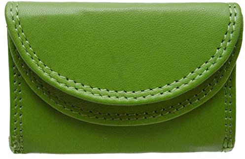 flevado Kleine handliche Party Disco Geldbörse in Mehreren Farben Lifestyle mit RFID Schutz (grün)