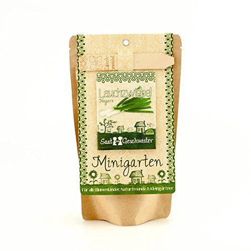 Die Stadtgärtner Minigarten Lauchzwiebel Negaro | Komplettes Anzuchtset für knackige Frühlingszwiebeln | Gesiebte Erde, bestes Saatgut & eine ausführliche Anleitung