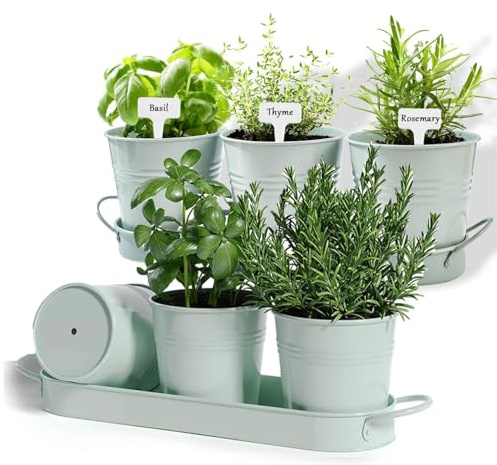 BSTMOME 2 Sets of 3x Herb Pot Planter Holders with Tray, Decorative Metal Flower Pot Succulent Pots Windowsill Planter Pots for Kitchen Grow Indoor Garden Outdoor Use (Green)