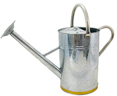 Kent & Stowe 9L Metal Watering Can in Galvanised Metal, Rust-Resistant Galvanised Watering Can with Handle and Detachable Rose, Classic All Year Round Garden Tools Made from Steel