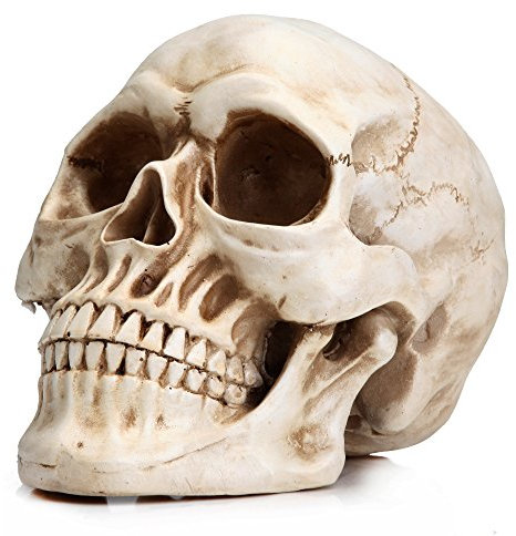 READAEER- Statua di Teschio in Resina a Grandezza Naturale - Replica Cranio Umano con Dettagli Esclusivi - Perfetto come Arredo Horror per la Casa