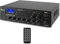 Power Dynamics PPA50 Amplificador de 100V y 50W / 2 Zonas con Bluetooth y Reproductor mp3