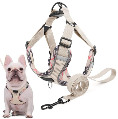 Harnais Chien avec Laisse, Harnais Anti Traction pour Chien de Taille Petits et Moyens, Réfléchissant & Rembourré Doux Harnois Veste Chiot, Idéal pour Marche, Course et Formation (Beige, M)