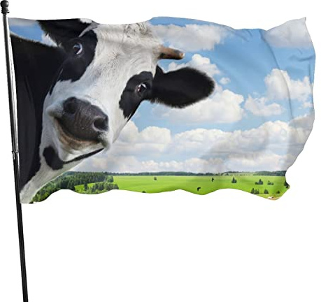 Flagge 150x90cm, Outdoor Windward Fahne, Lebendiges Farbbanner Gartenflagge Lustige Kuh mit grüner Wiese Dekorative Flagge, Hochwertige Polyester Yard Fahne, Lustige Große Flagge, Outdoor-Dekoration