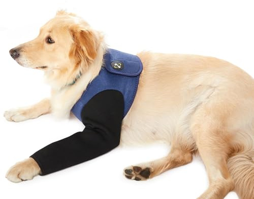 Combinaison de Rééducation Coodeo pour Chien, Alternative au Collier Conique, Manchon Résistant 2,5 mm Imperméable Lavable - Empêche Léchage & Morsure des Plaies (Bleu, M)
