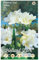 Holland Park bulbi da fiore di molte varietà e colori in sacchetto blister con foto (FRESIE SEMPLICI BIANCA 10 bulbi)