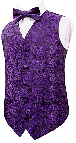 Alizeal Boys Classic Paisley Bow Tie and Suit Vest Set, Dark Purple-12